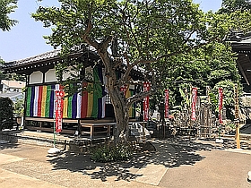 不動堂と開帳塔婆