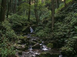 奥の院への道その１