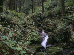 奥の院への道その２