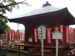 愛染堂と愛染かつらの木