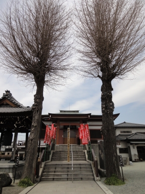 二本の木と本堂