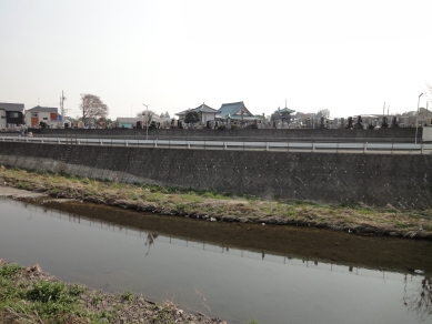 境川から見た風景