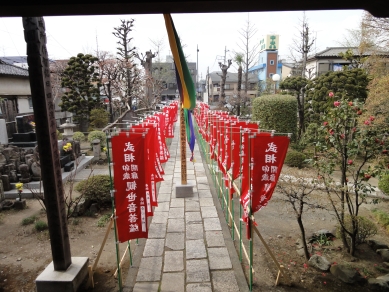 本堂からの景色