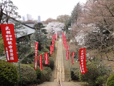 石段からの風景