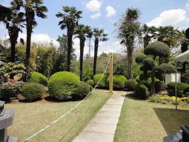 本堂からの風景