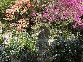 石仏と花