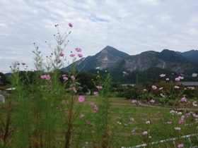 武甲山