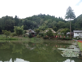 弁天池から見た本堂