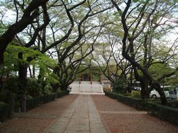 参道から見た本堂