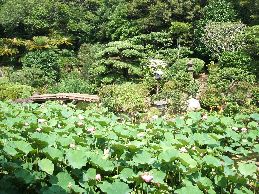 記主庭園その１