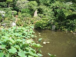 記主庭園その２