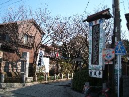 入口からの風景