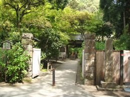 入口からの風景