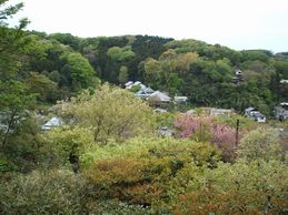 円覚寺からみた東慶寺