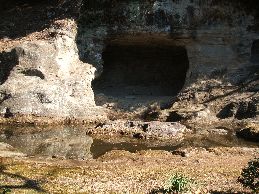 瑞泉寺庭園その１