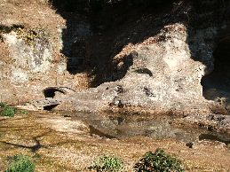瑞泉寺庭園その２