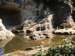 瑞泉寺庭園その３