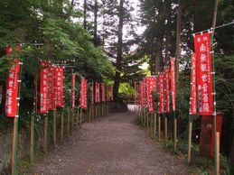 立ち並ぶ赤いのぼり旗