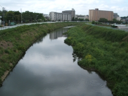 恩田川その１