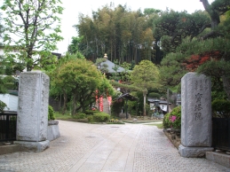 入口からの風景