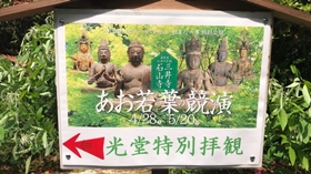 あお若葉の競演の案内