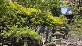 あお若葉と多宝塔、硅灰石