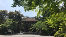 あお若葉と仁王門