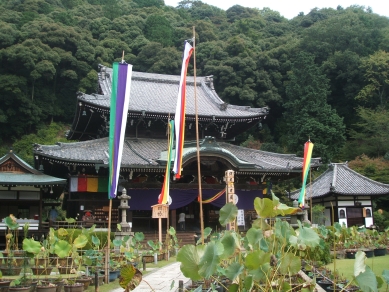 本堂と結縁塔婆（その１）