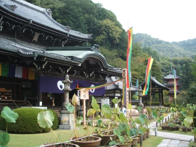 本堂と結縁塔婆（その３）