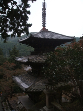 上から眺めた三重塔