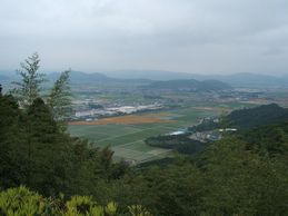 境内からの景色