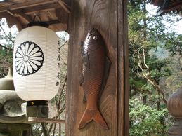 精進落としの鯉その１