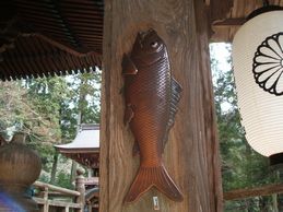 精進落としの鯉その２