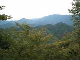 展望台から周りの山々