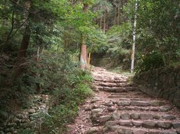 参道の景色その１