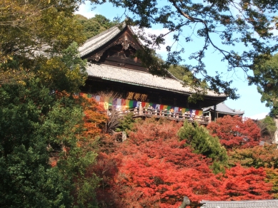 紅葉の本堂その１