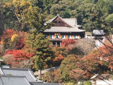 紅葉の本堂その２