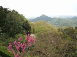 境内からの眺め